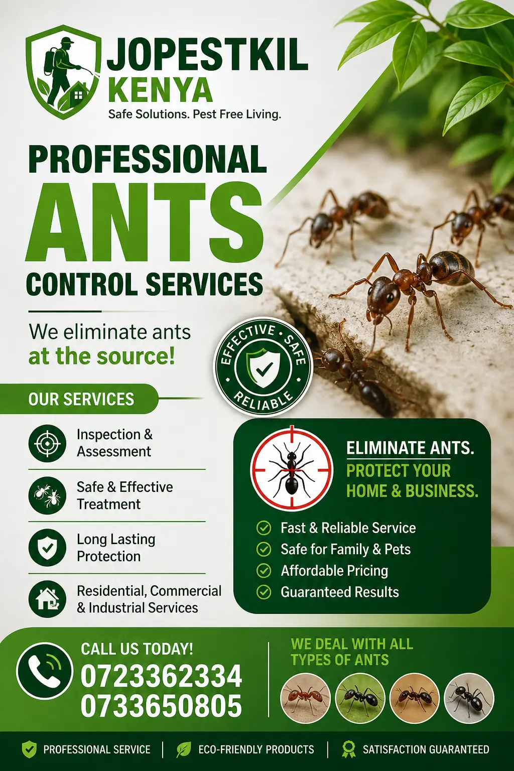 Ant control services